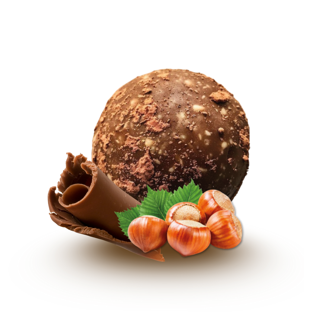 ORGANIC ENERGY-BALLS - DÉLICE | COCOA & HAZELNUT