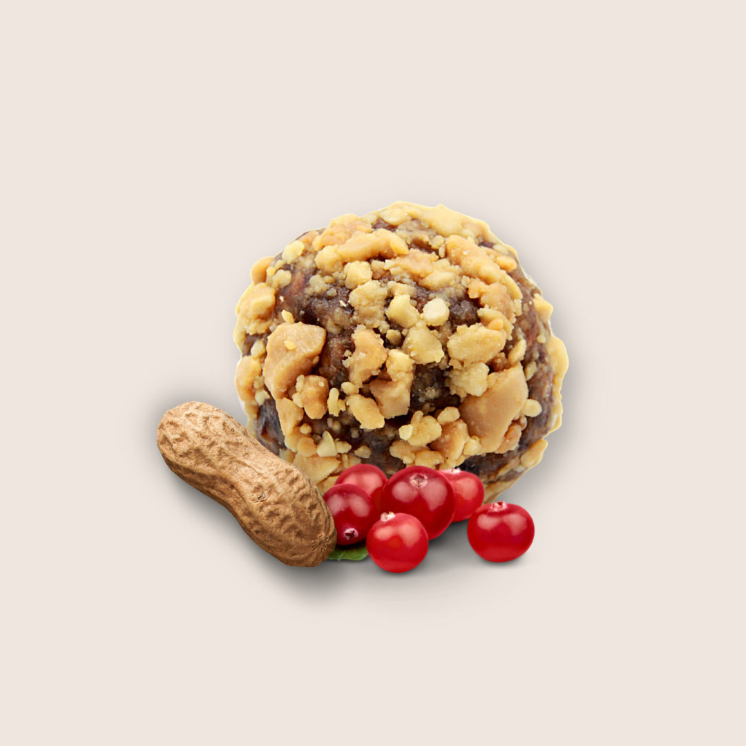 ORGANIC ENERGY-BALLS - BULK - APPLE CINNAMON - 250G