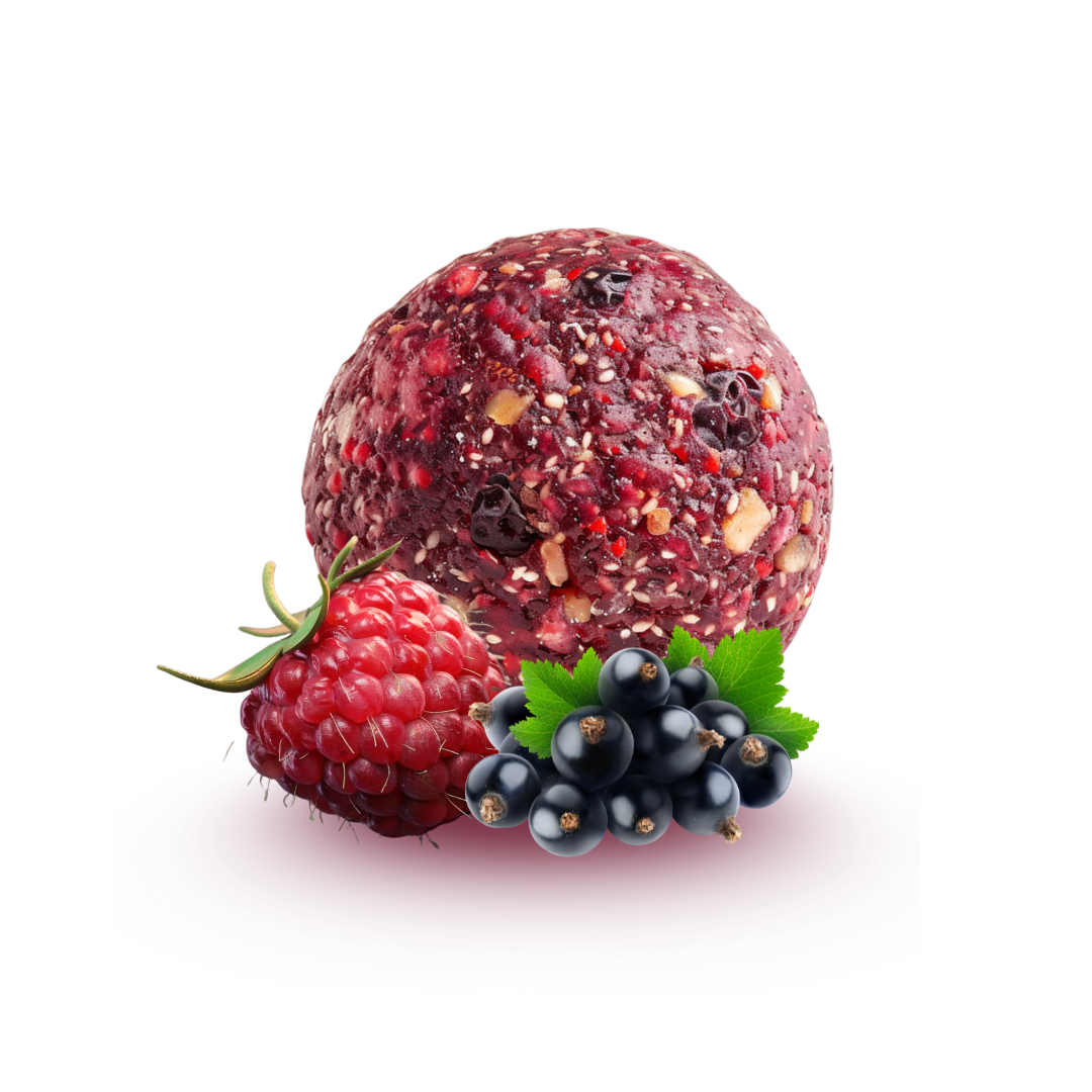 ORGANIC ENERGY-BALLS - DÉLICE | RASPBERRY & BLACKCURRANT