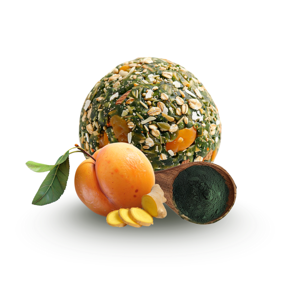 ENERGY-BALLS ORGANIC - PROTEIN | APRICOT, GINGER &amp; SPIRULINA